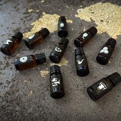 Explorer Beard Oil Kit <br> 10 Scents