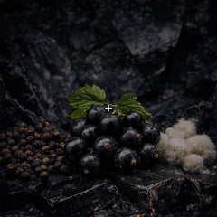 Obsidian - Test